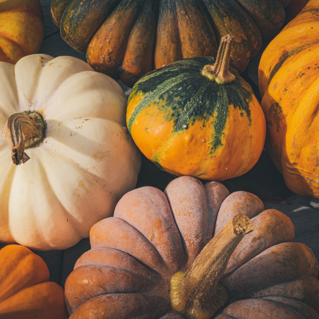 6 Ideas for your eco-friendly fall bucket list