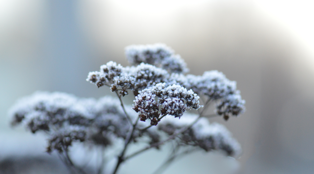 Why Your Skin Gets Drier in Fall and Winter (and What Helps)