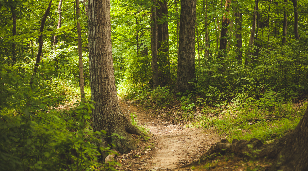 7 Self-Care Rituals to Slow Down and Reconnect