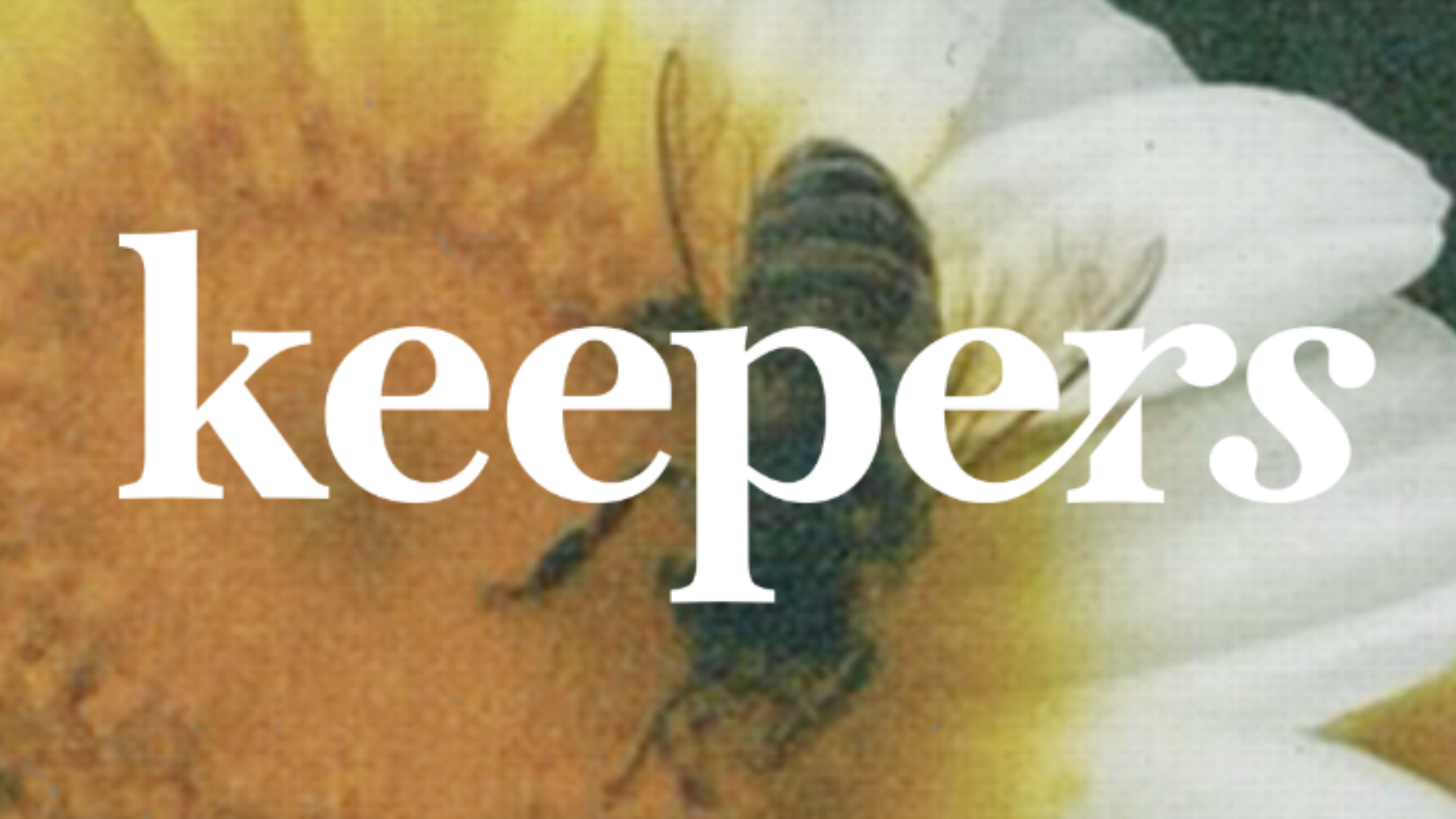 Why Saving the Bees Starts With How We Make Skincare