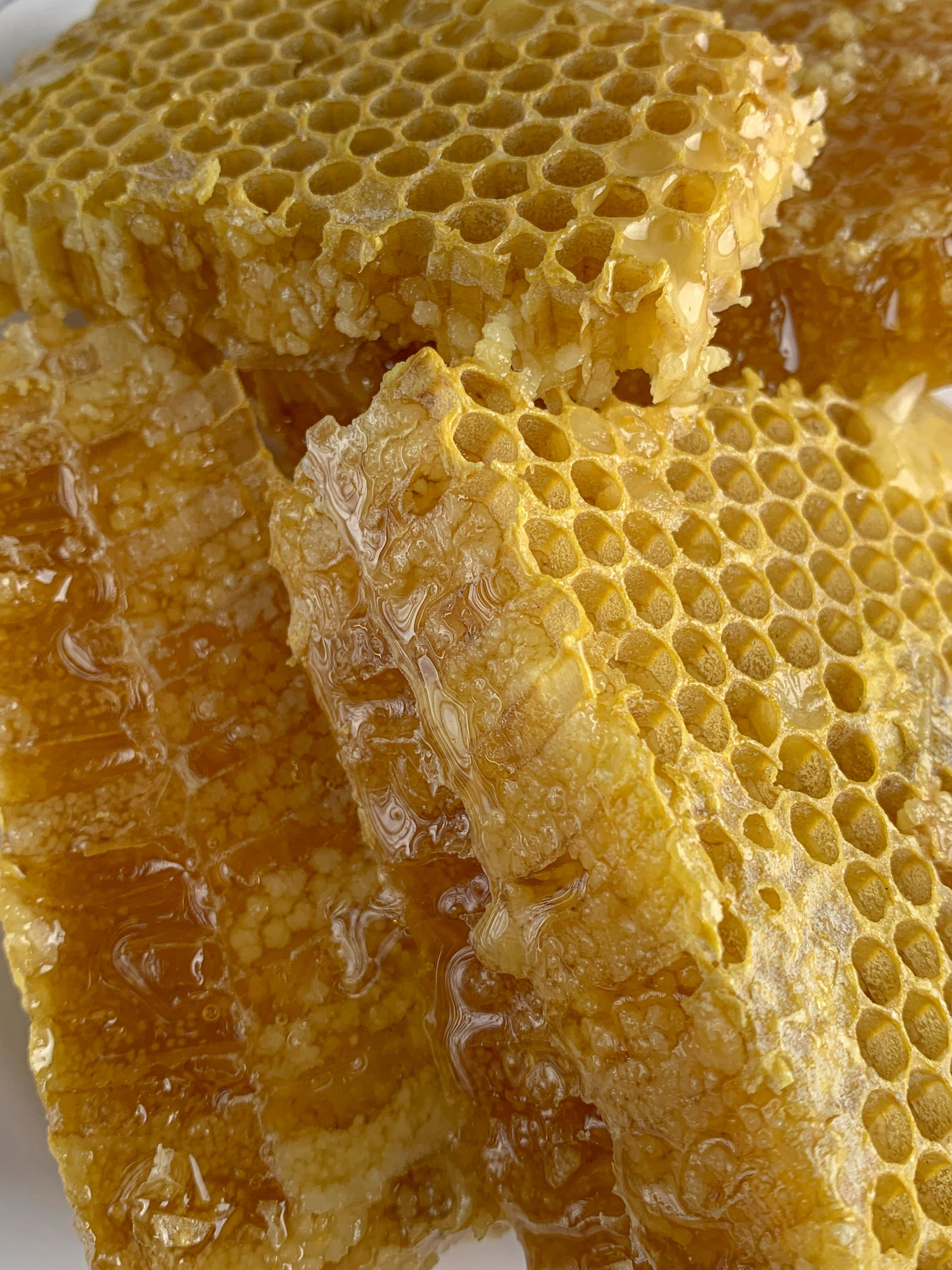 Bee Propolis