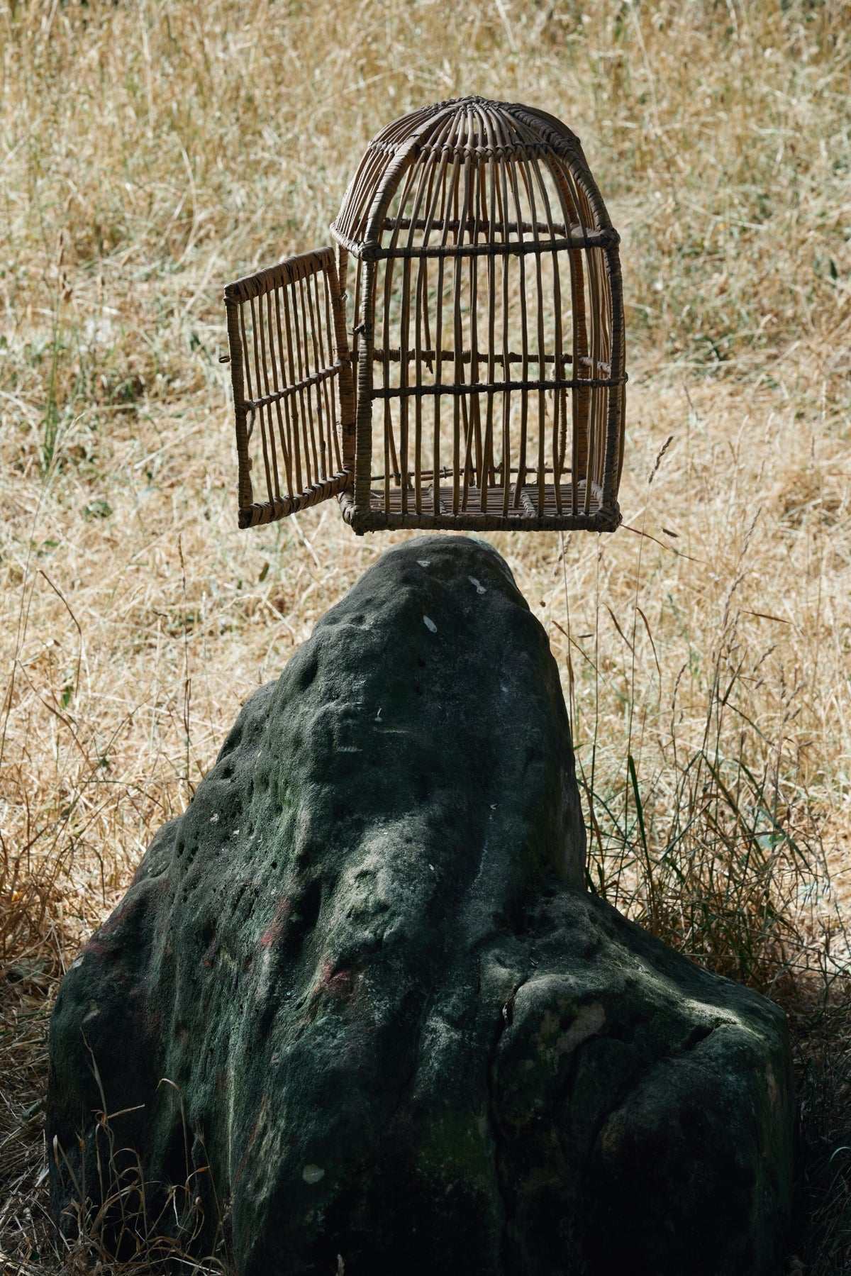 Wisdom of the Hive Workshop | The Entrance - Protecting Your Inner Landscape | Whit & Co.