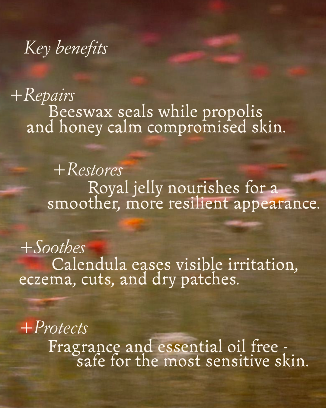 The Secret Propolis Salve for Skin & Lips