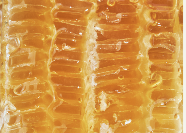 Step Into the Hive: The Gentle Power of Apitherapy