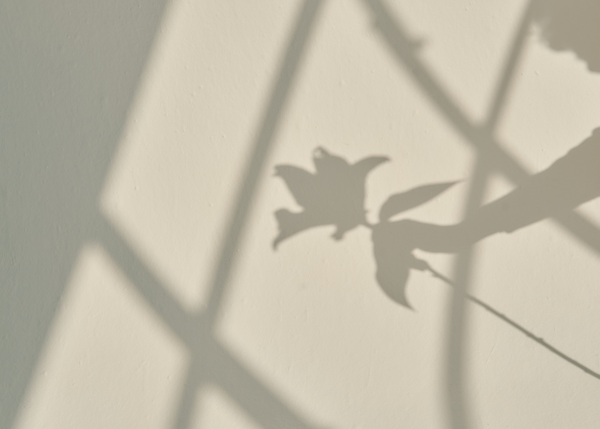 Align Your Skincare Rituals with Energy Healing Practice