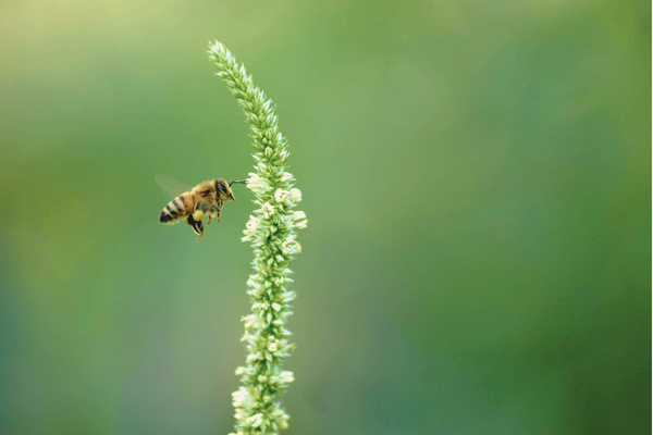 The Keeper’s Promise: What Sustainable Beauty Really Looks Like