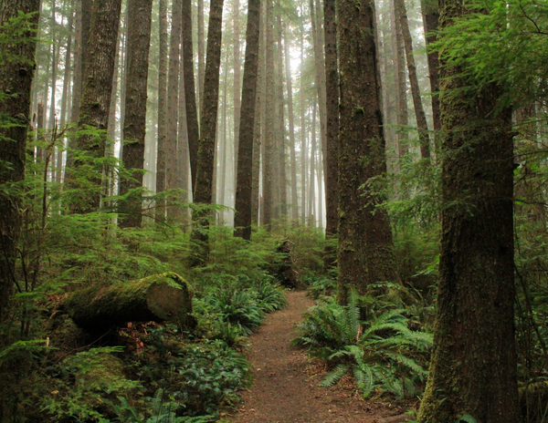 How One Simple Self-Care Habit Can Spark Positive Environmental Change