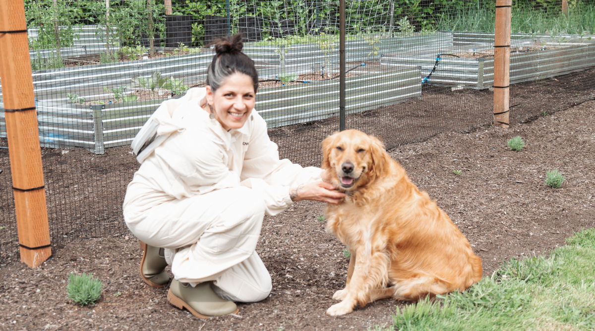 National Dog Day: Honoring the Dogs We Love With Gentle Energy Healing