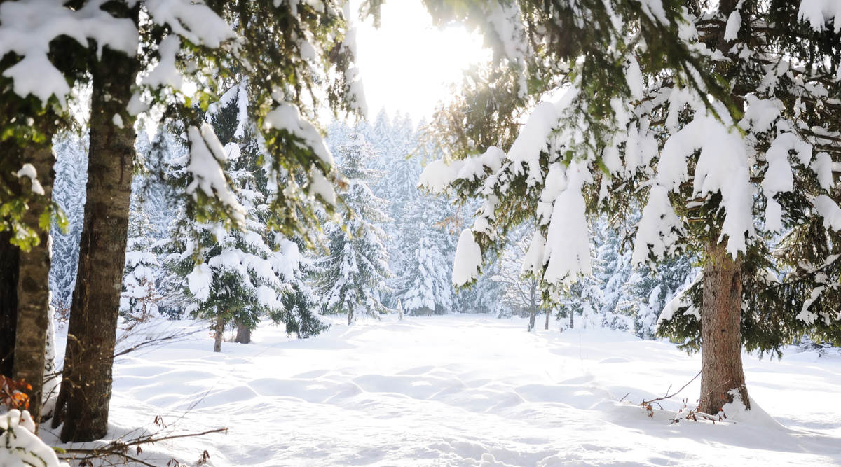 Reiki for the Holidays: Finding Calm in the Busiest Season