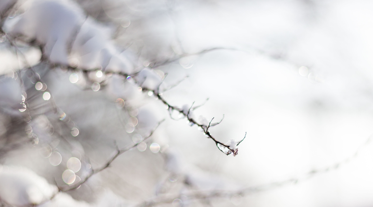 Winter Solstice Rituals: Rest, Reflection, and Gentle New Beginnings
