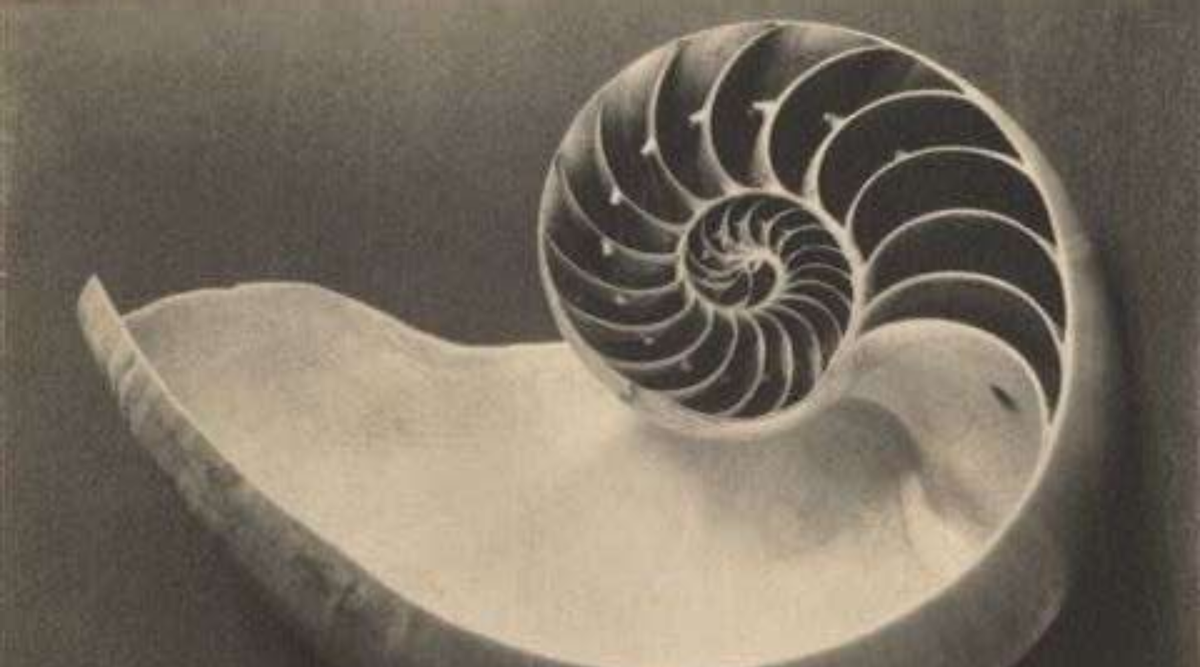 Distance Reiki Explained: Can Energy Healing Work Remotely?