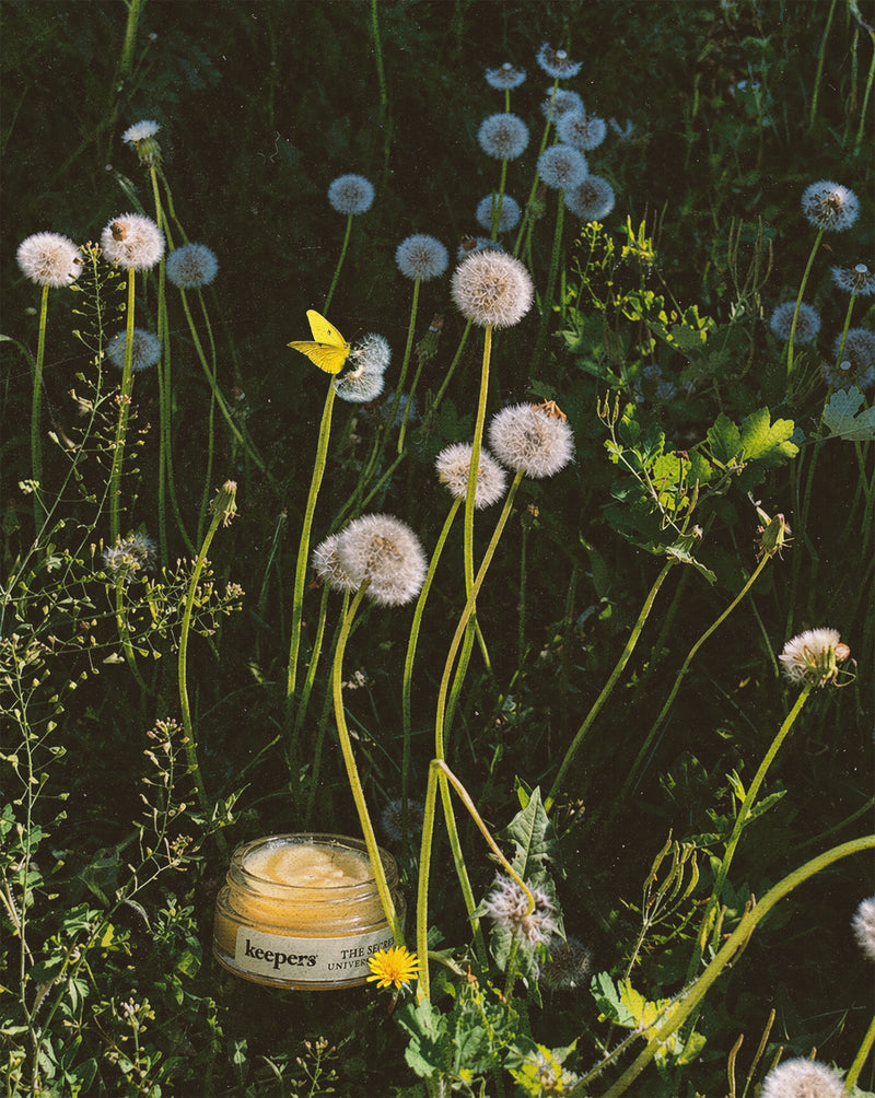 The Secret – Universal Salve