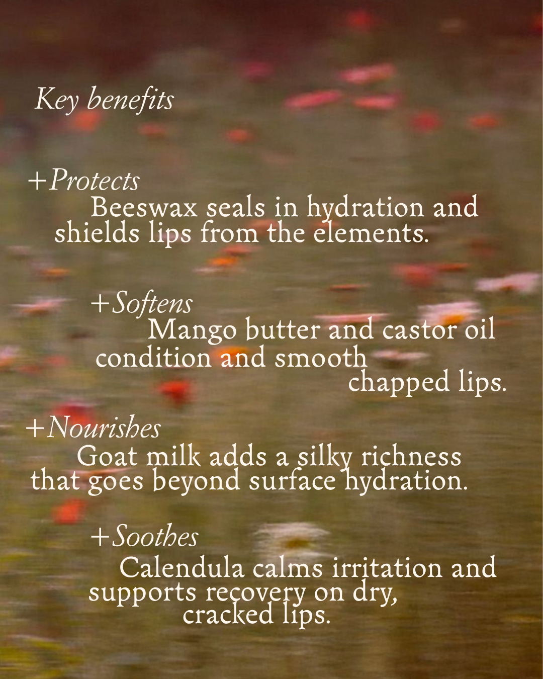 Golden Kiss Beeswax Lip Balm for Daily Care