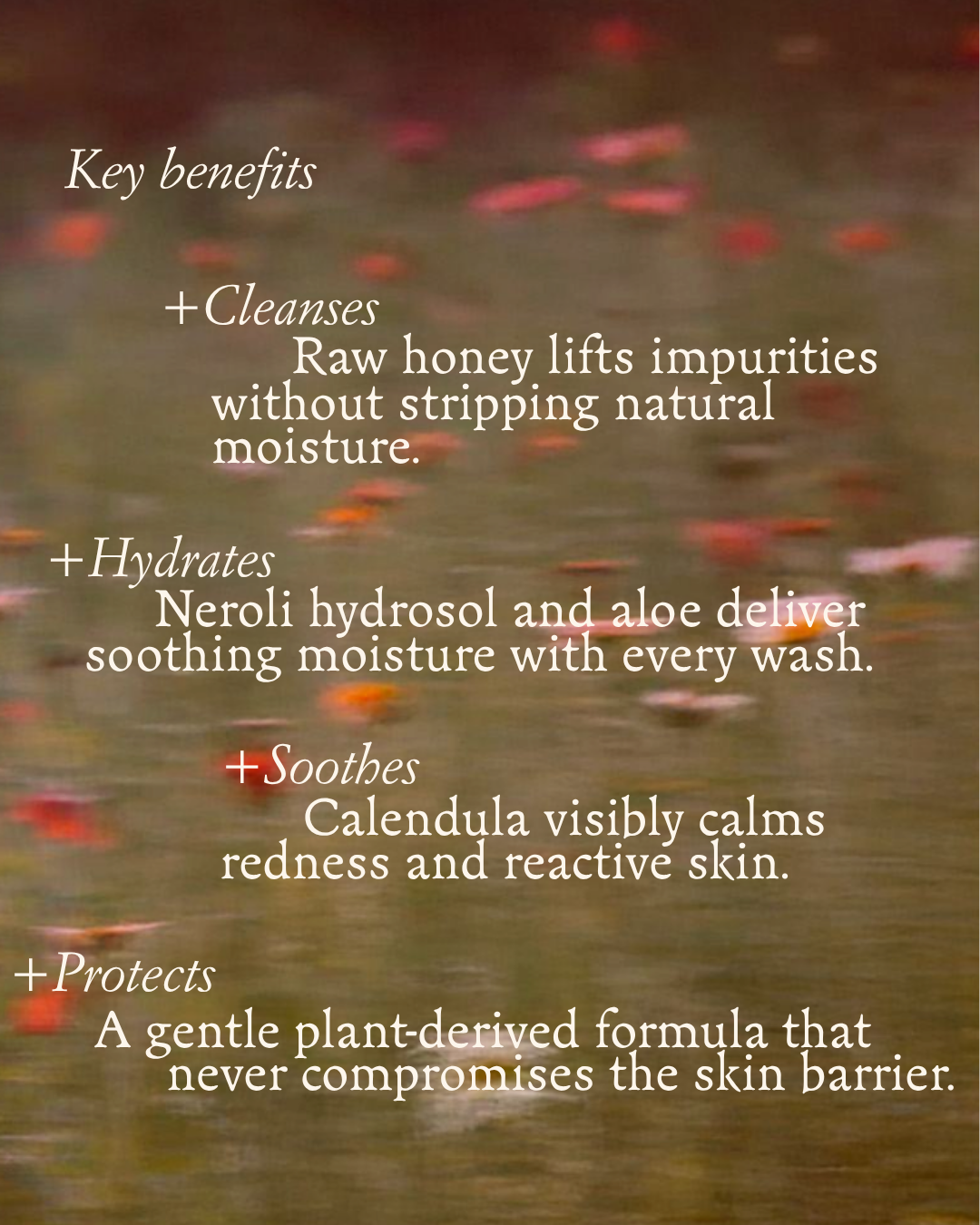 Royal Ritual Honeybee Facial Skincare Set