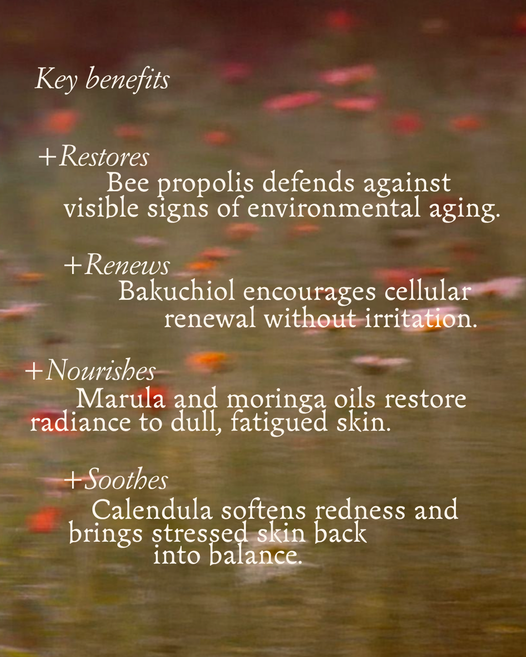 Wild Devotion Propolis Face Oil for Radiance