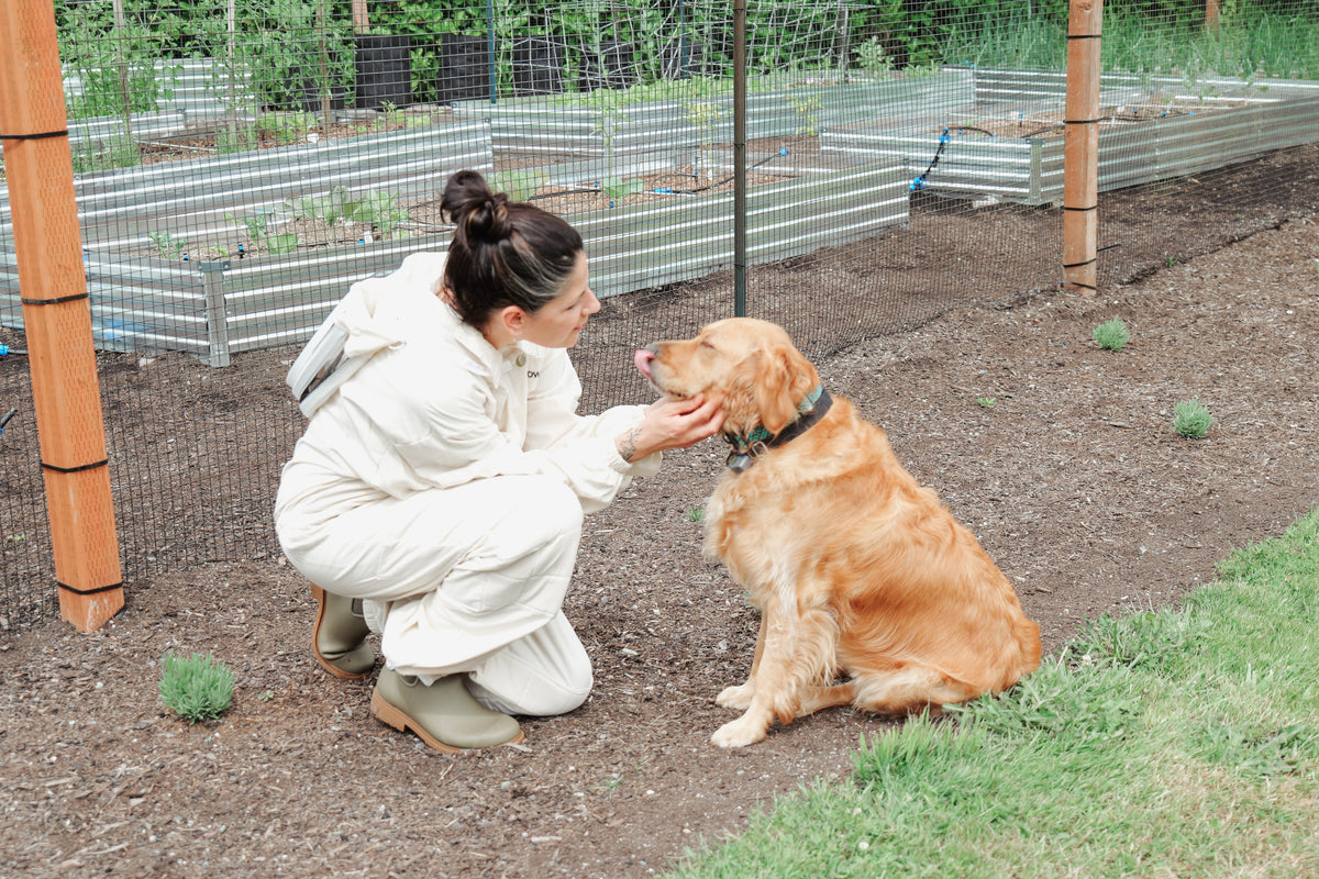 Animal Reiki Series