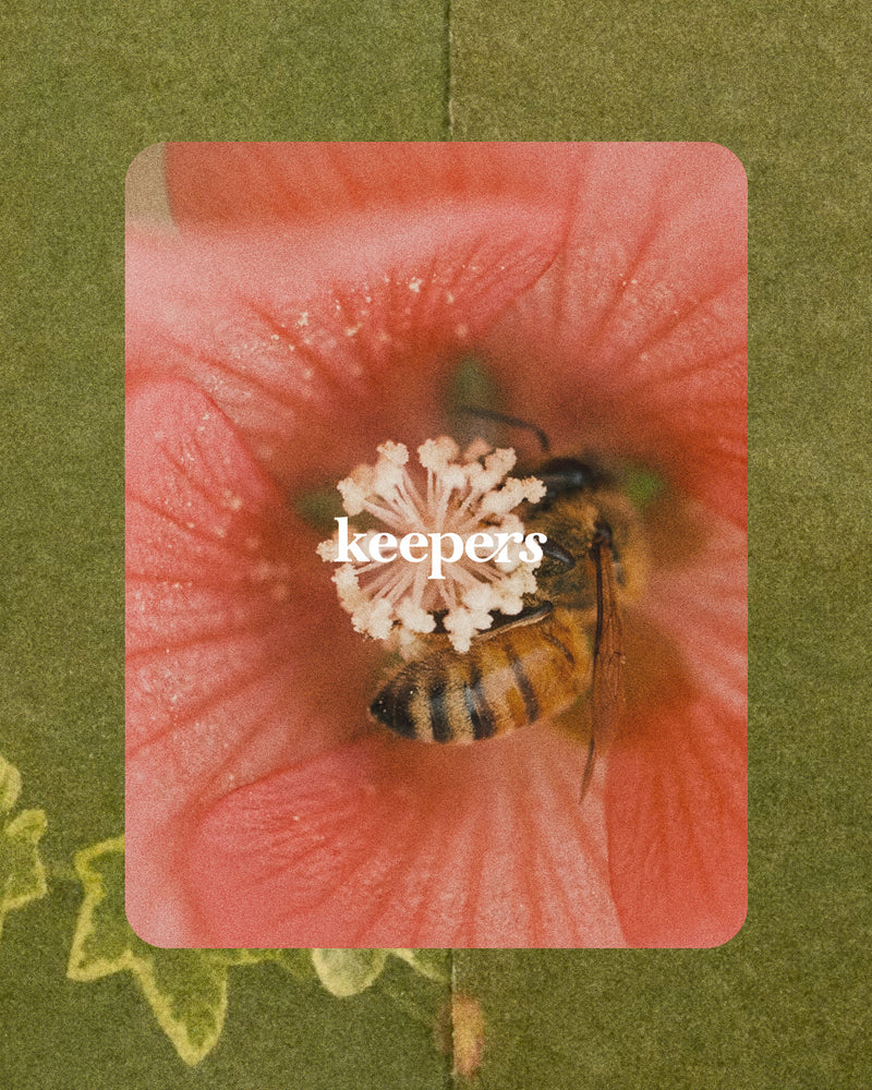 Keeper's Collective Gift Card